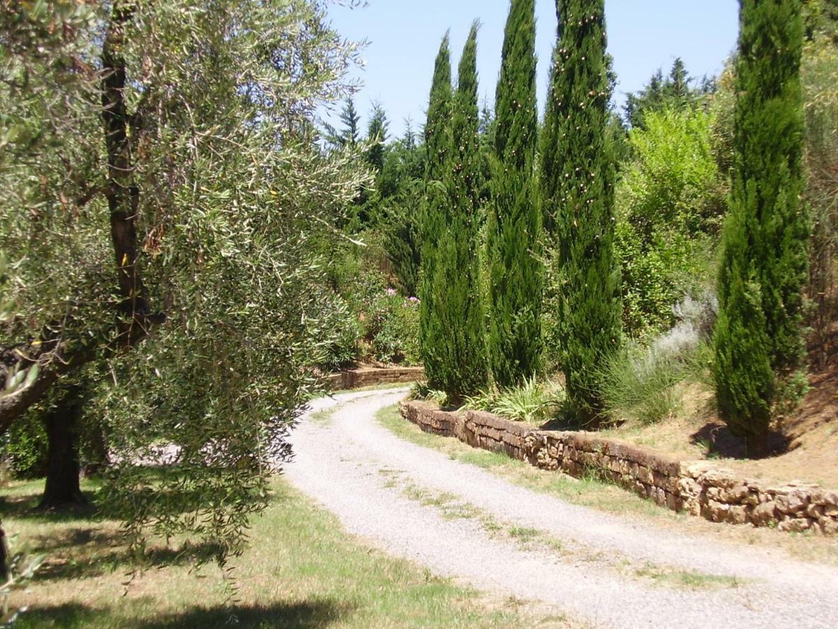 Podere Belvedere Cecina Cecina  Eksteriør bilde