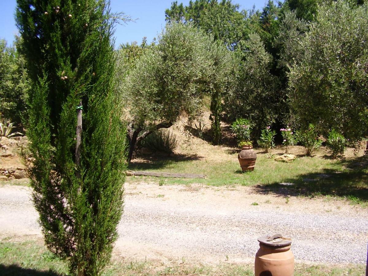 Podere Belvedere Cecina Cecina  Eksteriør bilde